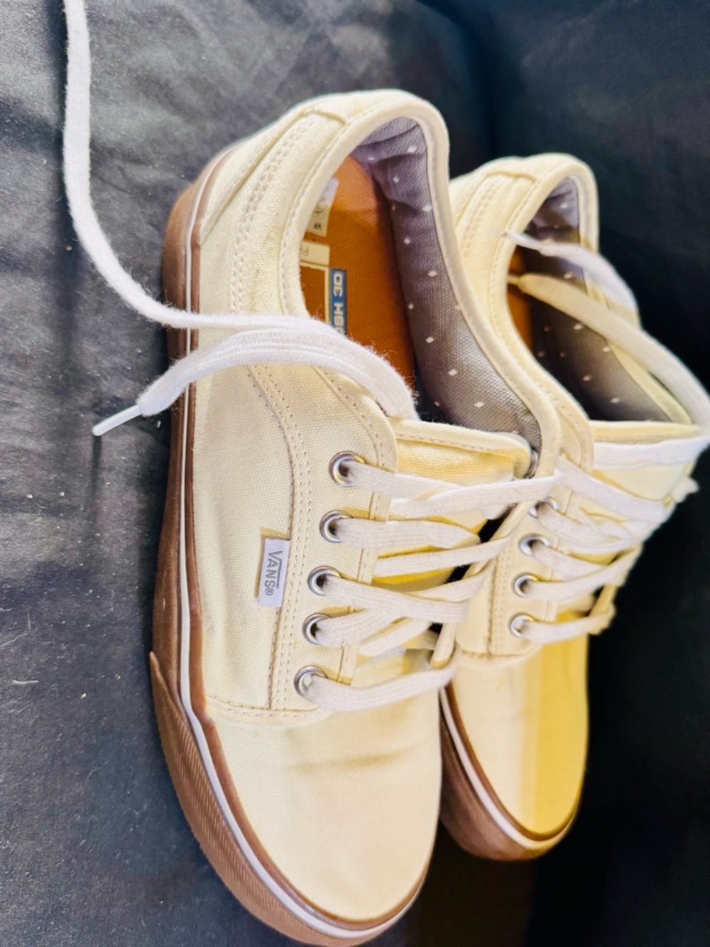 Vans Low-Top Canvas Sneakers in Cream and Gum